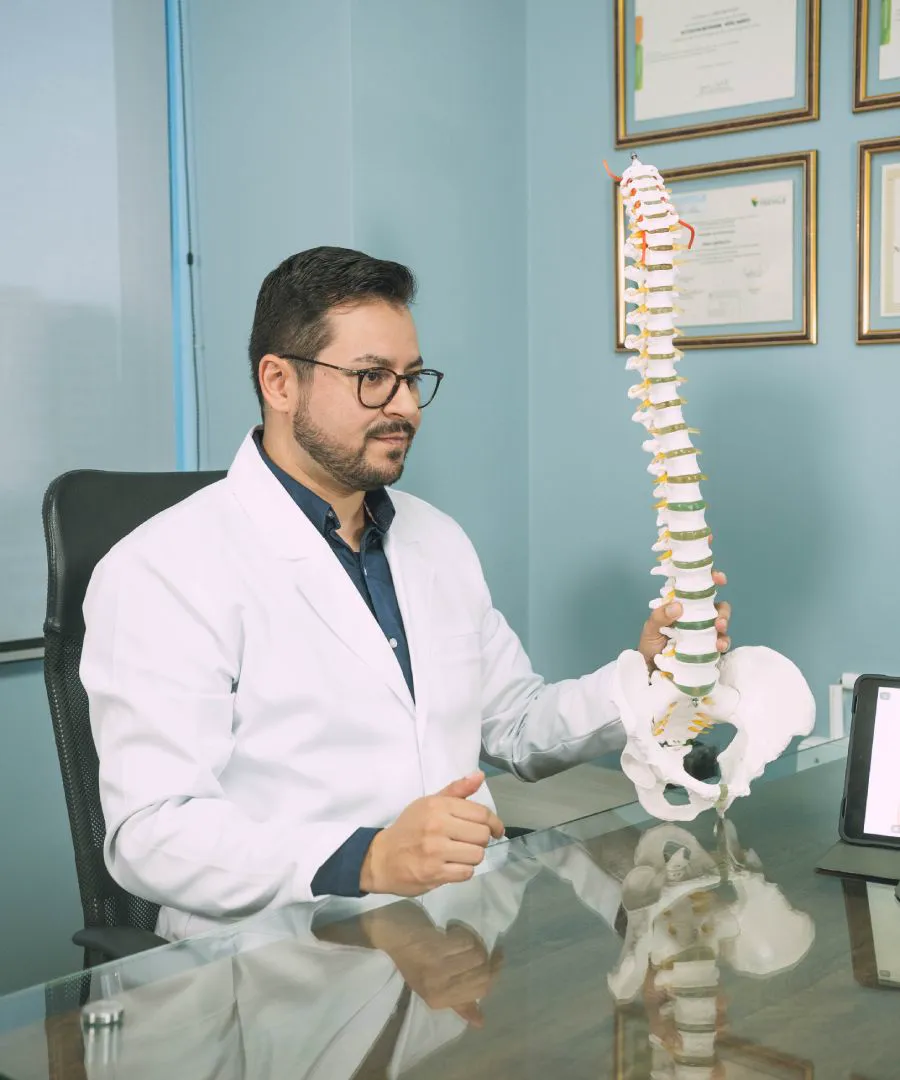 Modelo de columna completa en el consultorio